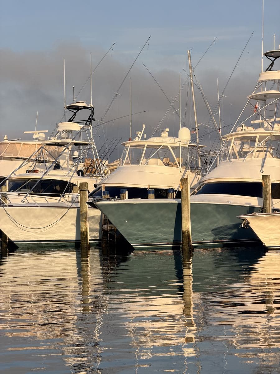 Boats moored in a marina at golden hour